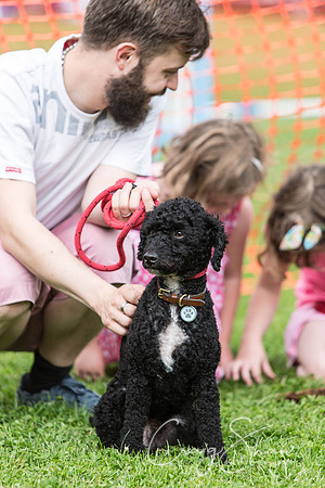 1121_HebdenHappyHounds2016_bluplanetphoto