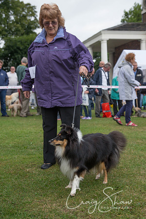 2237_HuddsBarkinthePark2013_bluplanetphoto__D8Q7091