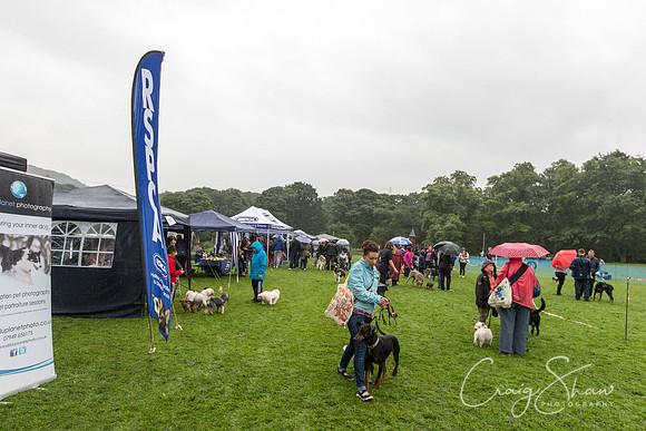 1267_ShibdenDogDayRSPCAHx_bluplanetphoto