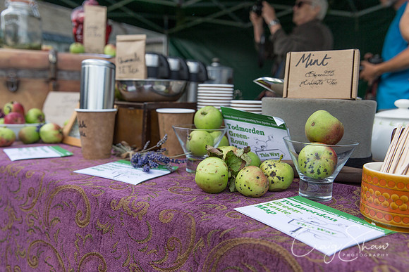 121_TodmordenHarvestFest2013_bluplanetphoto