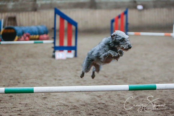 624_SpringersSpringFling2016_bluplanetphoto