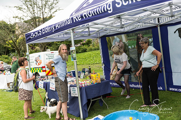 886_HebdenHappyHounds2016_bluplanetphoto
