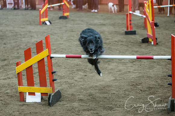 1581_springfling2015_bluplanetphoto