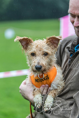 1739_ShibdenDogDayRSPCAHx_bluplanetphoto