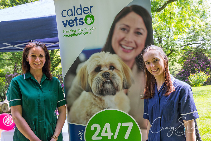 658_DoggyDashHudds2016_craigshawphoto
