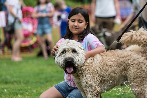 1178_HebdenHappyHounds2016_bluplanetphoto