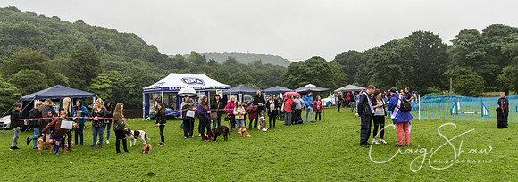 1572_ShibdenDogDayRSPCAHx_bluplanetphoto