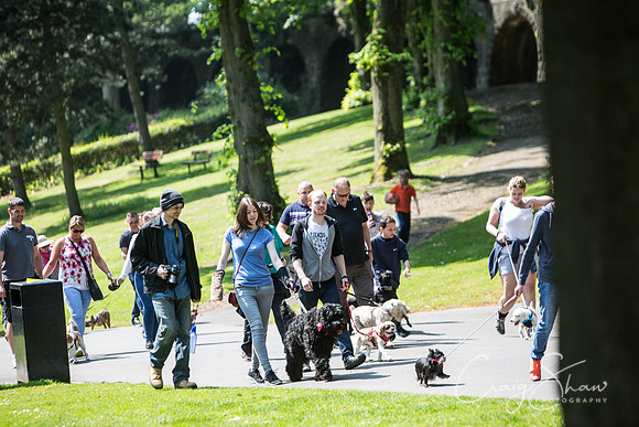 328_DoggyDashHudds2016_craigshawphoto