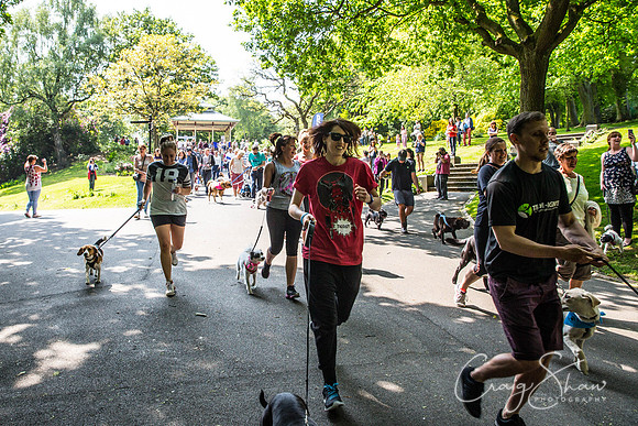 281_DoggyDashHudds2016_craigshawphoto