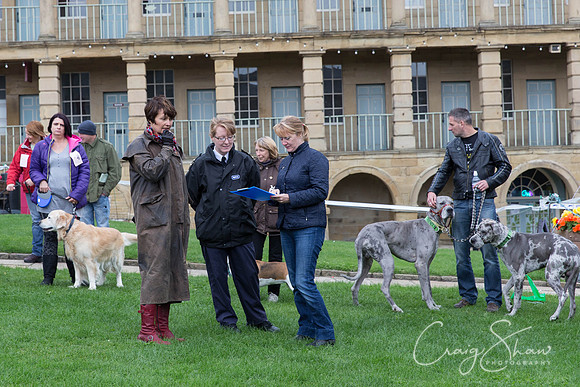 158_RSPCAK9PieceHall2013_bluplanetphoto__D8Q5470