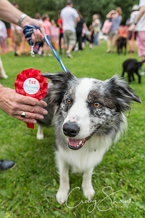 1351_HebdenHappyHounds2016_bluplanetphoto