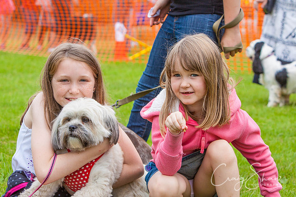 RSPCA Dog Day Afternoon