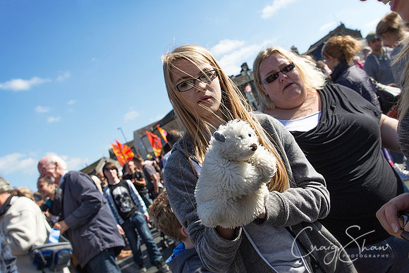 1650_SkiptonPuppetFestival2013_Sunday_bluplanetphoto-Edit