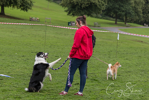 337_ShibdenDogDayRSPCAHx_bluplanetphoto