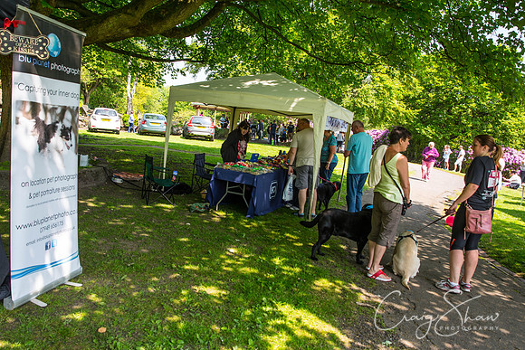 570_DoggyDashHudds2016_craigshawphoto