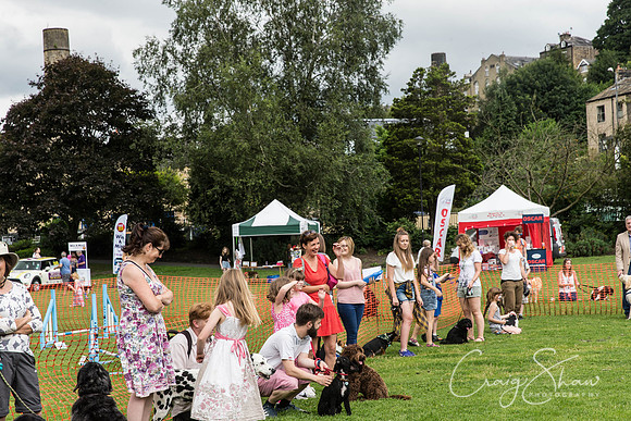 1107_HebdenHappyHounds2016_bluplanetphoto