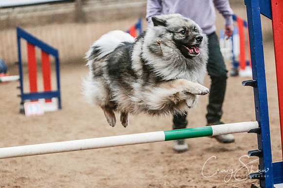 784_SpringersSpringFling2016_bluplanetphoto