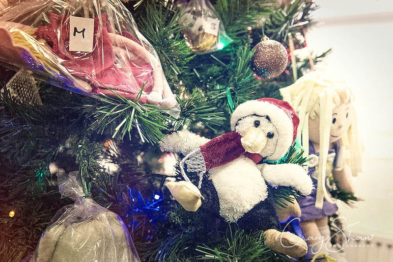 187_RSPCA_Christmas_Dec2013_bluplanetphoto