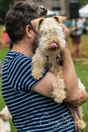 745_HebdenHappyHounds2016_bluplanetphoto