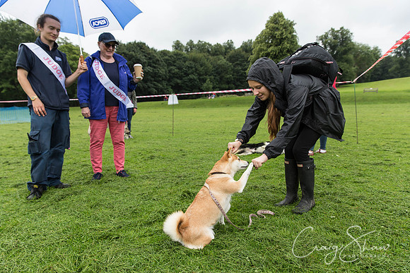 371_ShibdenDogDayRSPCAHx_bluplanetphoto