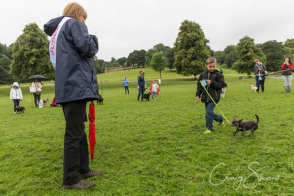 788_ShibdenDogDayRSPCAHx_bluplanetphoto