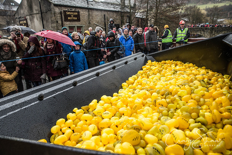 321_duckrace_March2016_craigshawphoto