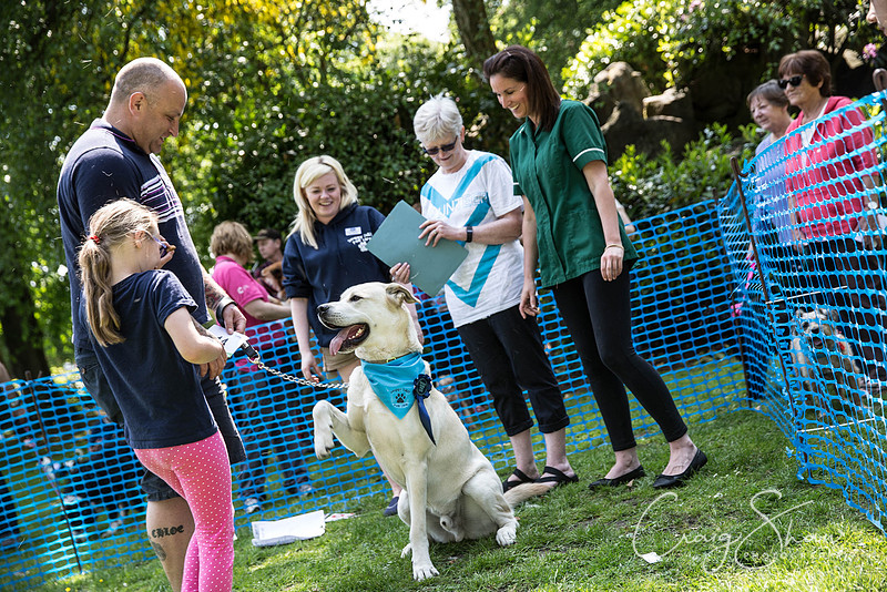 1086_DoggyDashHudds2016_craigshawphoto
