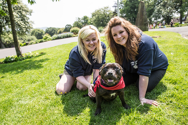 809_DoggyDashHudds2016_craigshawphoto