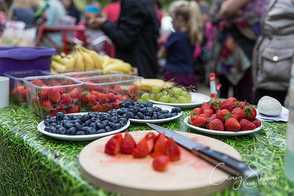 372_TodmordenHarvestFest2013_bluplanetphoto