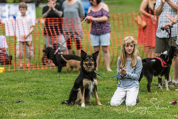 723_HebdenHappyHounds2016_bluplanetphoto