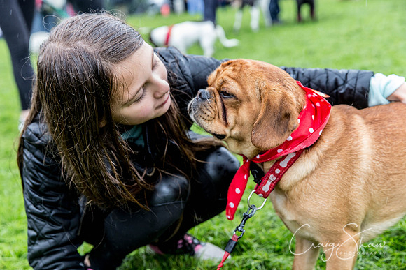 1187_ShibdenDogDayRSPCAHx_bluplanetphoto