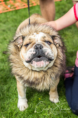 1850_PAWS_FundayJuly2016_bluplanetphoto