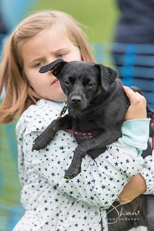 1597_ShibdenDogDayRSPCAHx_bluplanetphoto