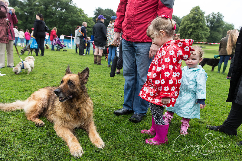 834_ShibdenDogDayRSPCAHx_bluplanetphoto