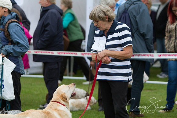 2369_HuddsBarkinthePark2013_bluplanetphoto_IMG_1105