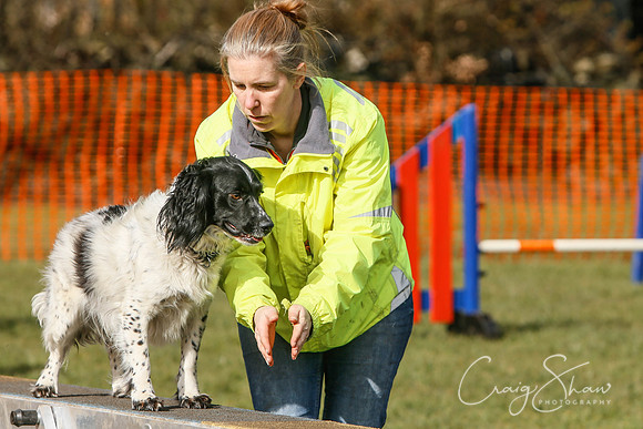 730_SpringersDogClub_FunDay_March2016_craigshaw