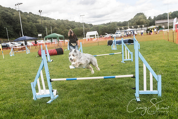 46_WJsDogShow2016_bluplanetphoto