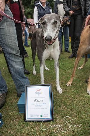 2072_HuddsBarkinthePark2013_bluplanetphoto__D8Q6991