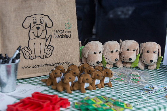 1764_HuddsBarkinthePark2013_bluplanetphoto__D8Q6725