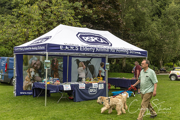 1445_HebdenHappyHounds2016_bluplanetphoto