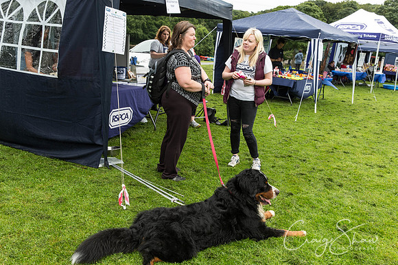 44_ShibdenDogDayRSPCAHx_bluplanetphoto