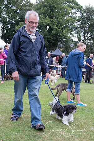 2377_HuddsBarkinthePark2013_bluplanetphoto__D8Q7193