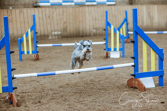 2524_SpringersSpringFling2016_bluplanetphoto