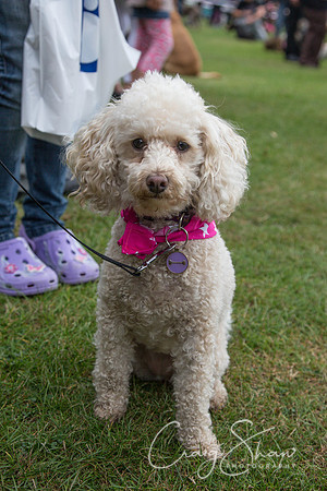 2254_HuddsBarkinthePark2013_bluplanetphoto__D8Q7108