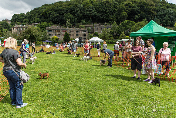 560_HebdenHappyHounds2016_bluplanetphoto