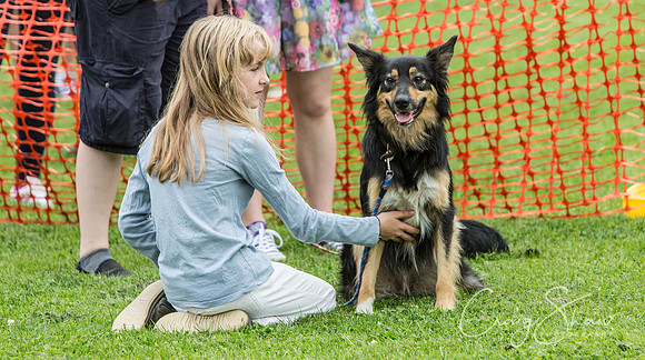 491_HebdenHappyHounds2016_bluplanetphoto