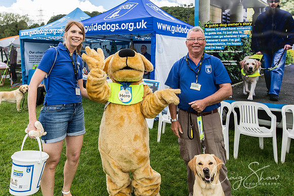 400_WJsDogShow2016_bluplanetphoto