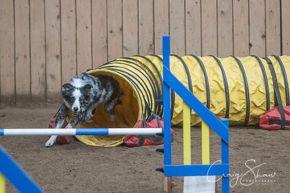 2400_SpringersSpringFling2016_bluplanetphoto