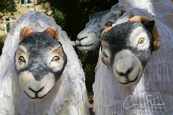 571_SkiptonPuppetFestival2013_Sunday_bluplanetphoto-Edit