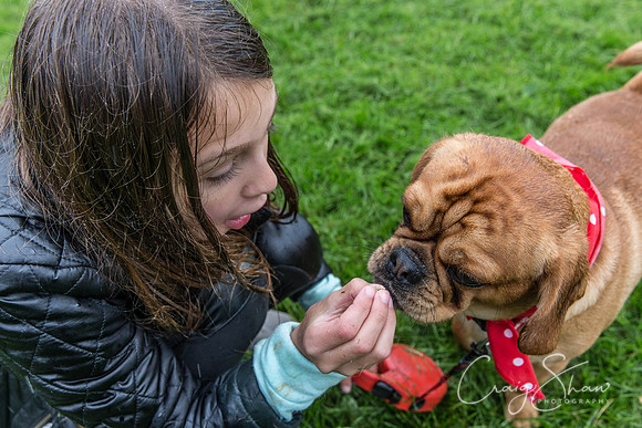 1205_ShibdenDogDayRSPCAHx_bluplanetphoto